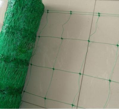 China Green Plant Support Netting for sale
