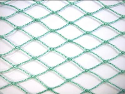 China Agricultural Anti Bird Netting for sale