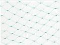 China Agriculture Anti Bird Netting , 10x10mm Mesh Extruded Square Mesh Bird Net for sale