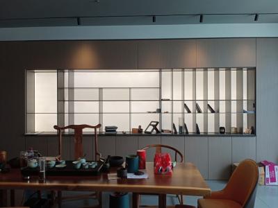China Display Cabinet Modern Design Aluminium Frame Shelf Living Room Furniture en venta