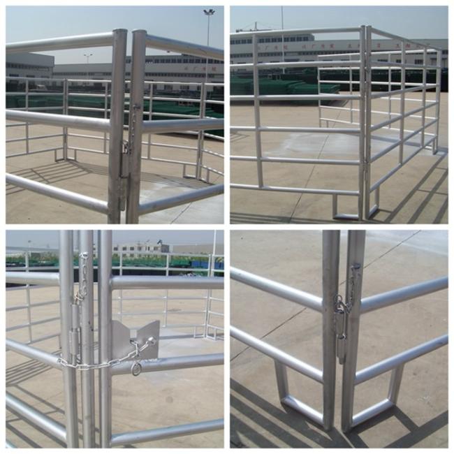 Hot dipped galvanized livestock fence panel installation example showing durable construction and secure animal containment