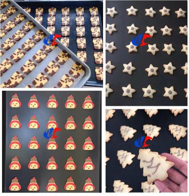 China Stainless Steel Cookie Encrusting Machine 100 - 120pcs/Min Cookies And Biscuit Froming Machine for sale