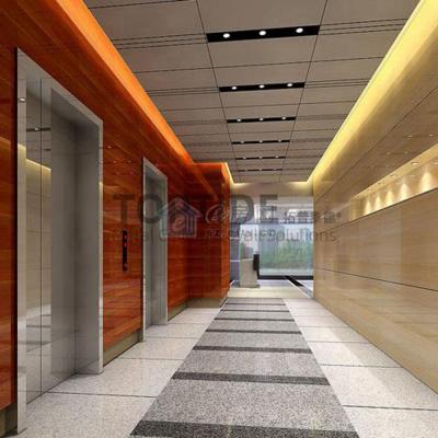 Chine Pièce en t croisée de matériaux de plafond en aluminium décoratif perforé d'intérieur moderne de baisse fausse à vendre