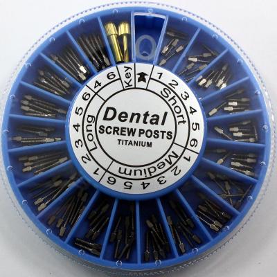 China Silver / Gold Plated Dental Screw Post 120pcs 240pcs With Two Keys for sale
