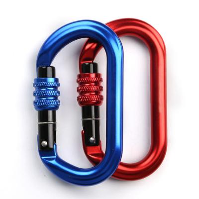 China Camping Hiking Outdoor D Type Carabiner Hook With Screw for sale