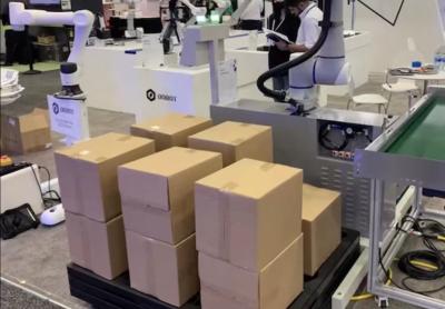 China Fanuc Robot Arm Diy 10kg Cooperative Robotic Stacking System For Food Workshop for sale