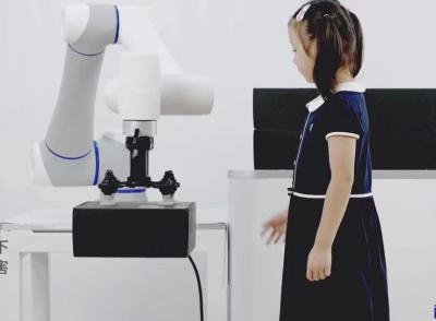 Китай Картина автоматической робототехнической руки робота сварочного аппарата сотруднической распыляя продается