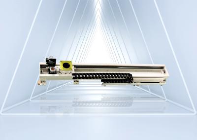 China Heavy Load Motor Robot Linear Guide with 500kg Payload and Motor Core Components for sale