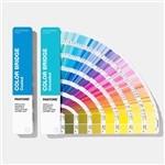 Chine Ensemble 2019 de papier enduit/non-enduit solide de guide de pont de couleur de Pantone GP6102A de cartes de couleur de peinture à vendre