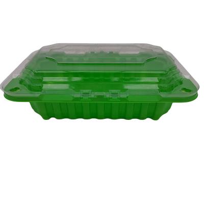 China Supermarket Refrigeration Plastic Blister Pack Tray Disposable for sale