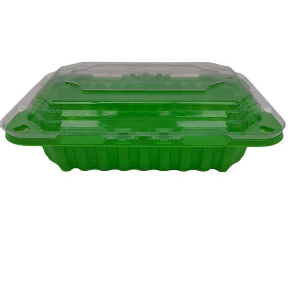 Quality Supermarket Refrigeration Plastic Blister Pack Tray Disposable for sale