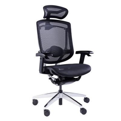 China GTCHAIR Marrit X Lumbar Support Ergonomic Chair High Back Mesh Office Chair for sale