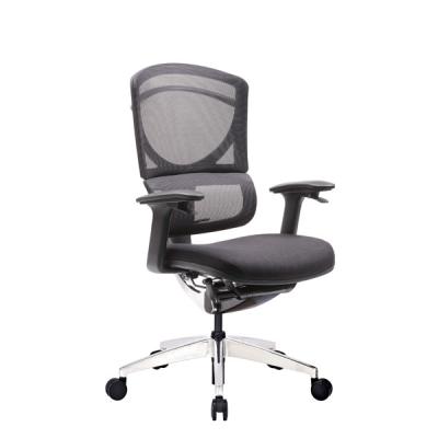 China Wintex Mesh Ergonomic Executive Chair Fabric Upholstery Ergo Task Office Chair for sale