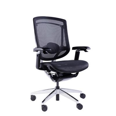 China Breathable Mesh Mid Back Ergonomic Office Chair Polished Aluminum Swivel Office Chairs for sale