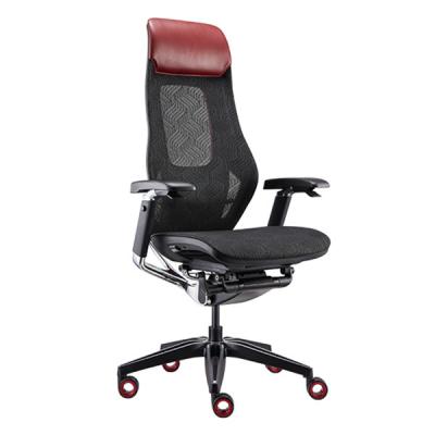 China Luxury Lumbar Support Ergonomic PC Gaming Chair Wintex Mesh Back Gaming Chair for sale