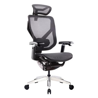 China Foam Lumbar Support Ergonomic Executive Chair 3D Support Headrest for sale