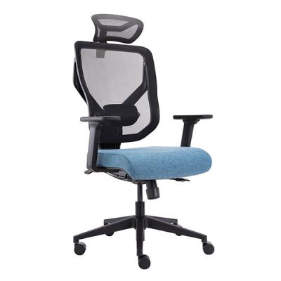China Vida Lumbar Support Ergonomic Chair Mesh Back Computer Chair Task Chair Swivel Office Chairs for sale