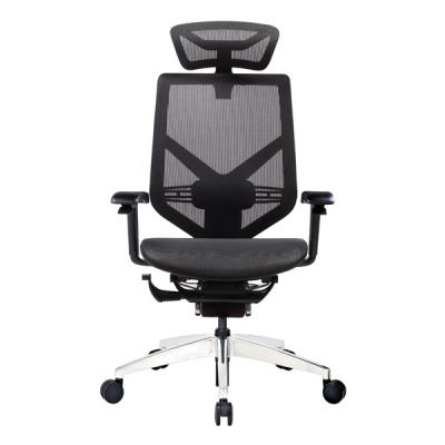 China GTCHAIR com a cadeira ergonômica do escritório do apoio lombar acolhedor e do braço 4D ajustável à venda