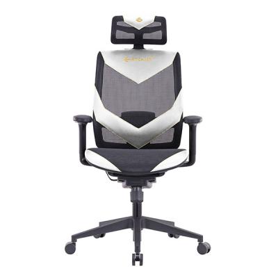 China Video Gaming Chair , E-Sports Chair , Office Chair , PC Gaming Chair Height Adjustment Lumbar Support , Headrest Swivel for sale