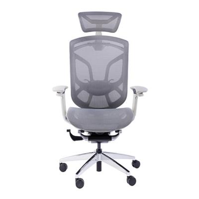 China Butterfly Backrest Ergonomic Executive Chair Wintex Mesh Adjustable Lumbar Support for sale