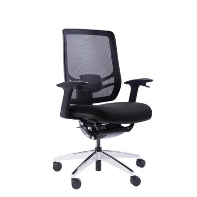 China Revolving Online Office Chair For Back Pain Ergo Curve All Mesh for sale