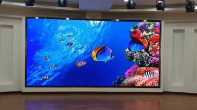China Colorful Indoor Advertising Led Display Screen 14bits P2 Led Video Wall  264V for sale