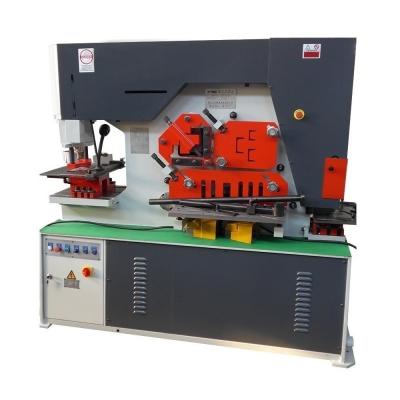China Hydraulic Cutting Punch And Shear Machine  Manual  DC40Y for sale