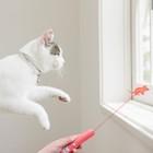 China Ponteiro claro interativo do laser da ferramenta do treinamento de Cat Toys For Indoor Pet à venda