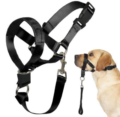 China Dog over the nose dog lead Head Collar Halter with Safety Strap for sale