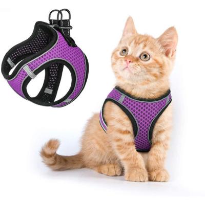 China Extra Small Kitten Harness With Reflective Strips For Walking Escape Proof for sale