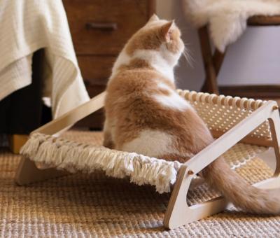 China Wooden Cat Lounger Bed Chair Hammocks 2 In 1 for sale