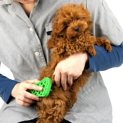 Chine Désodorisant de brosse de nettoyage d'animal familier de massage d'animal familier de cheveux de chien Antipruritic à vendre