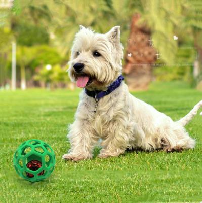 China TPR Hollow Anti Biting Stretching Pet Rubber Ball Educational for sale