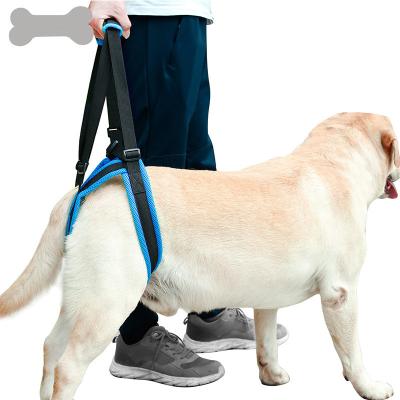 China Auxiliary Belt Leg Support Pet Harness Leash For Disability Injury High Aged Dog for sale