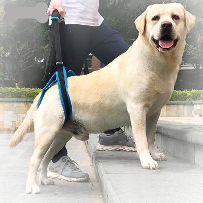 China Nylon Pet Leg Support Belt Rear Leg Disability Injury High Aged Dog Stair Auxiliary for sale