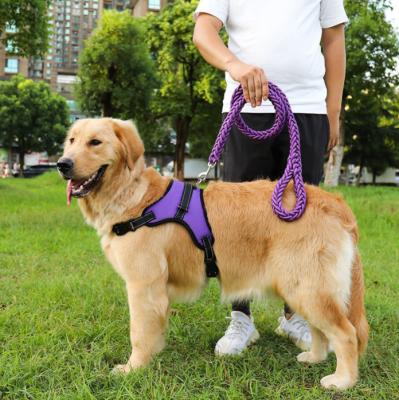 China Ventaja retractable resistente del perro de la prenda impermeable para el nilón grande de los perros en venta