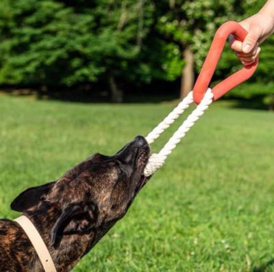 China Best Interactive Knotted Rope Triangle Tug Training Toysfor Large Dogs for sale