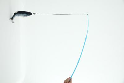 Китай Игрушка рыбной ловли игрушки кота рыб рыб симуляции кота электрических рыб дистанционного управления рыболовной удочки Амазонки дразня скача скача продается