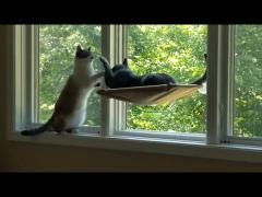 100% Cotton Cat Window Hammock Space Saving With Suction Cup