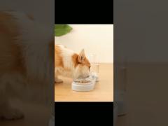 Anti Overturning Double Cat Water Bowl Automatic Water Storage For Protecting Cervical Spine