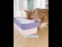 Elevated Neck Guard Cat Food Dispenser With Leak Proof Fence