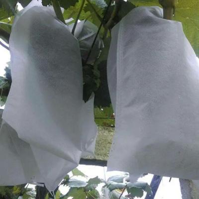 China Anti UV Fruit Tree Protection Bags , Spunbond Nonwoven Bags To Cover Fruit On Trees for sale