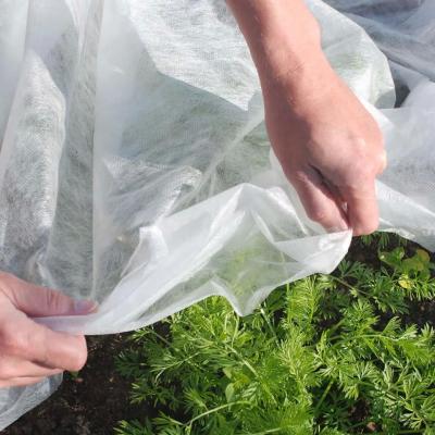 China Nontoxic Crop Protection Cover Durable , Biodegradable Garden Fleece For Plants for sale