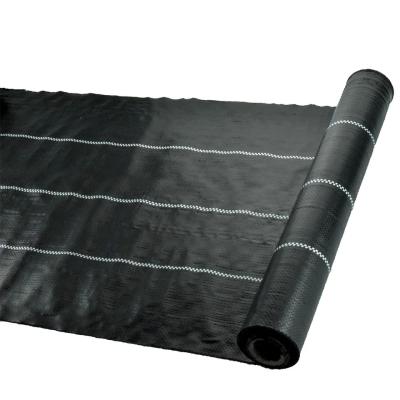 China PP 4x20m Weed Control Fabric Barrier Multi Function Breathable Eco Friendly for sale