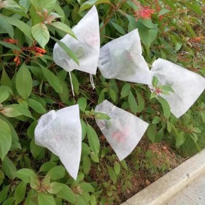 China Agriculture Plant Protection Bag PP Nonwoven Spunbond Fabric Degradable for sale