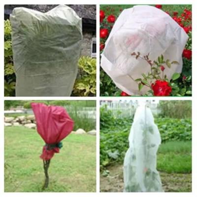 China Garden Plant Protection Bag Polypropylene Non Woven Fabric Breathable for sale