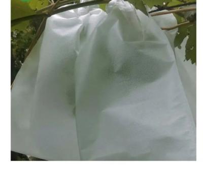 China Durable Fruit Plant Protection Bag Nonwoven Biodegradable Fabric for sale