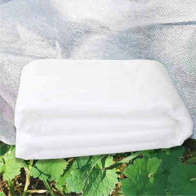 China 1.6mx10m Plant Protection Fleece , Multipurpose Non Woven Crop Cover for sale