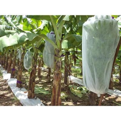 China Anti UV Plant Protection Bag Windproof PP Non Woven Fabric For Banana for sale