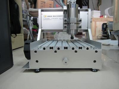 China mini máquina del número de matrícula de la placa de identificación del CNC que muele 3020 800w en venta